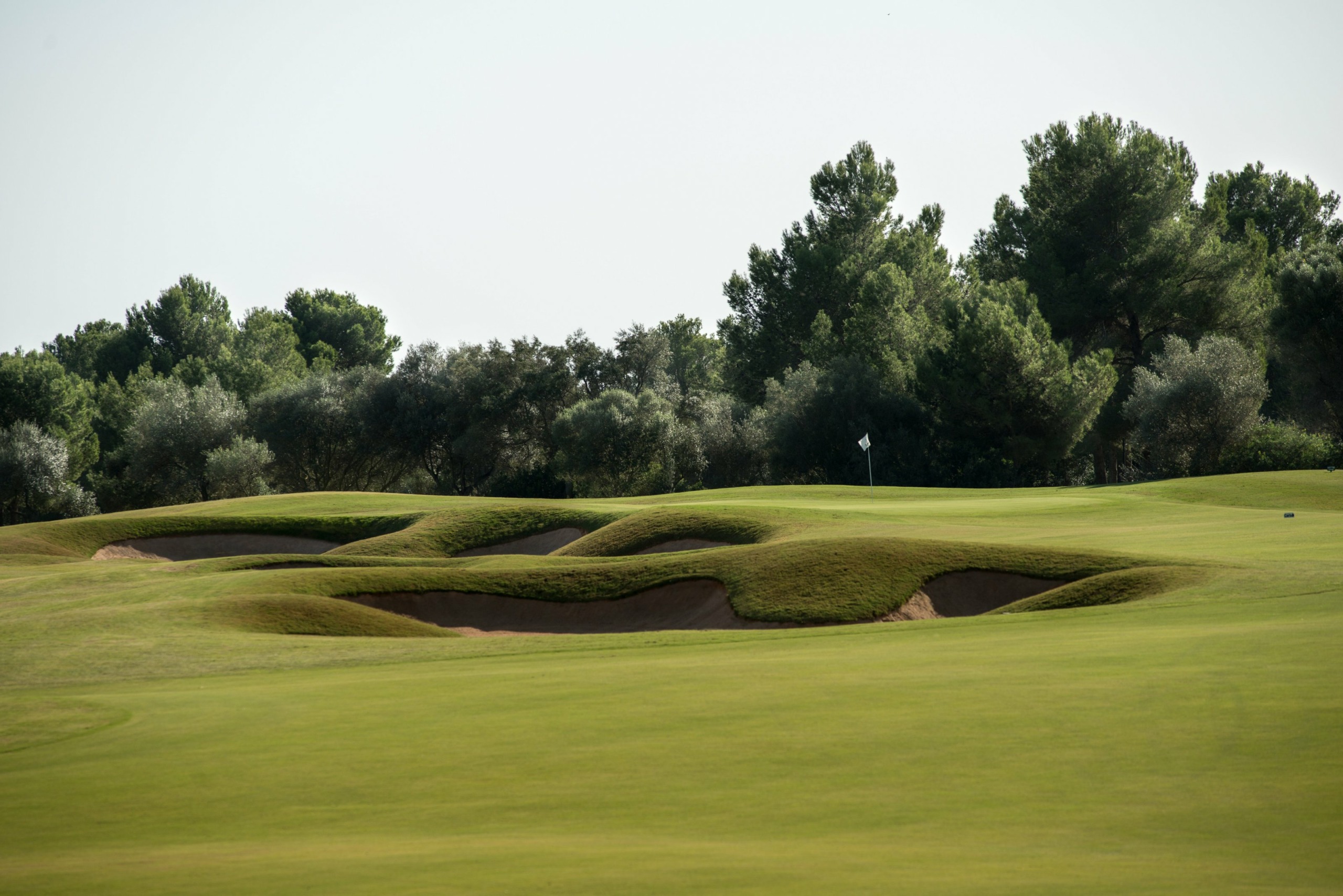 T Golf Palma Puntiro