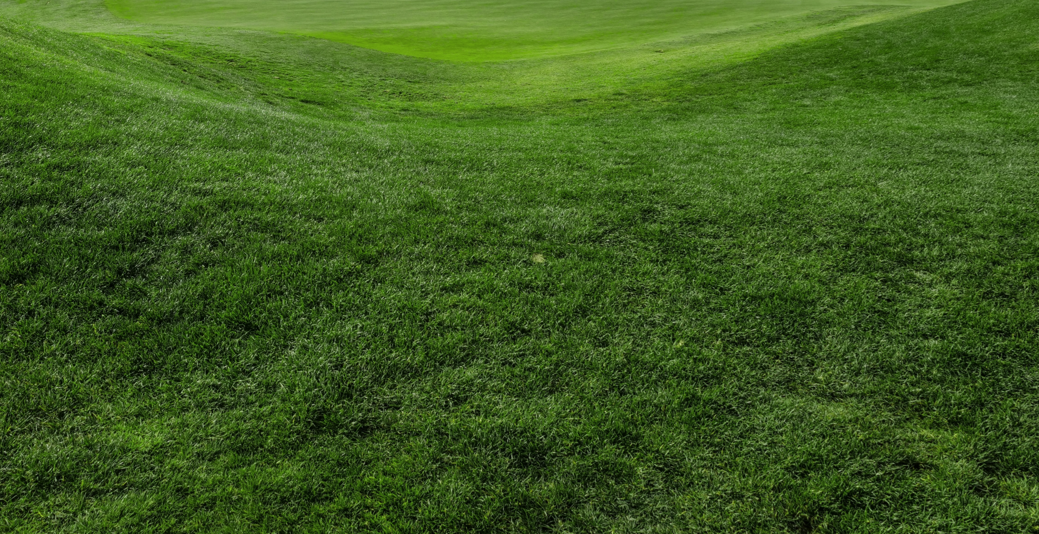 Potsdamer Golfclub e.V.