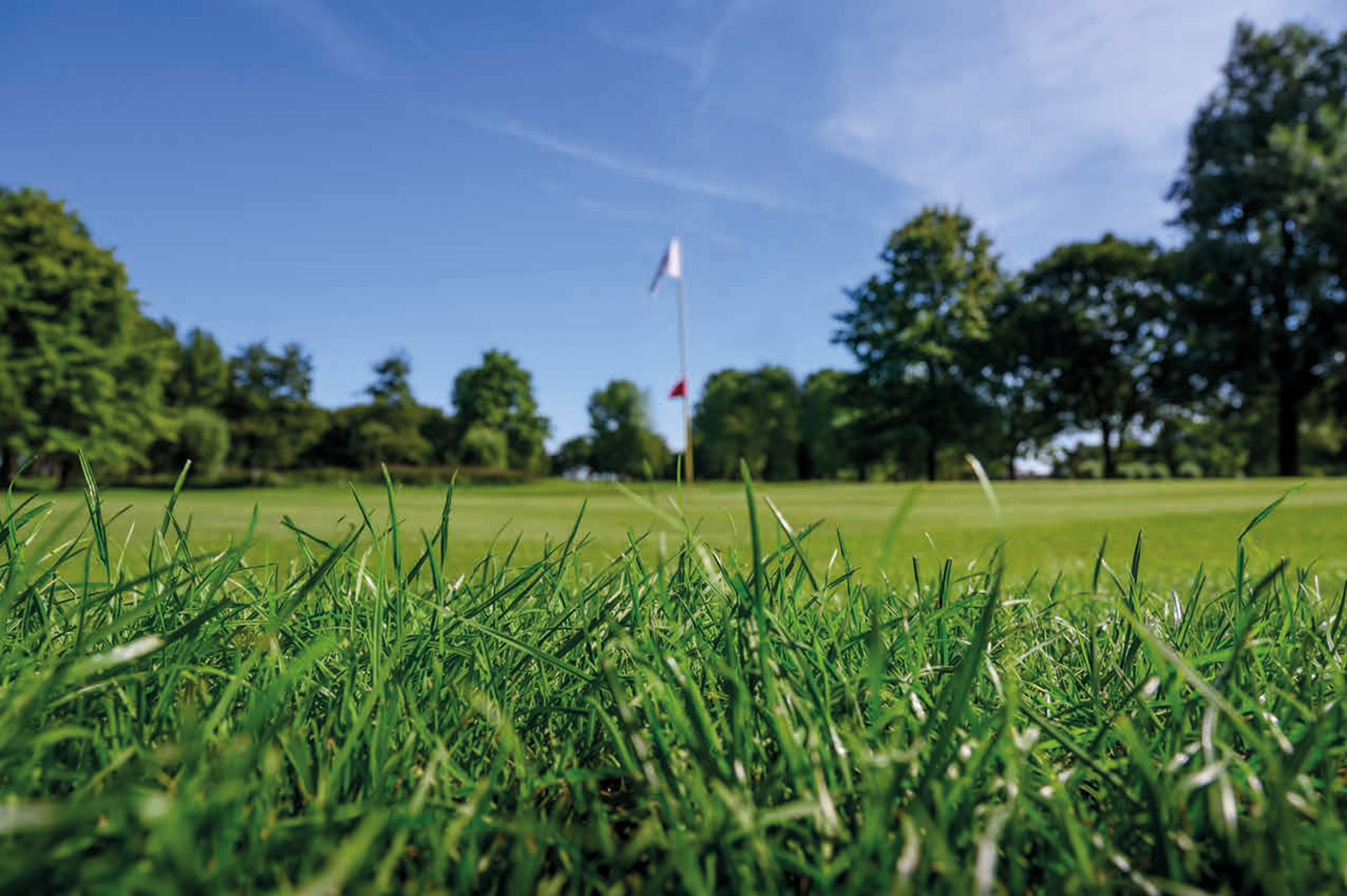 Zaanse Golf Club