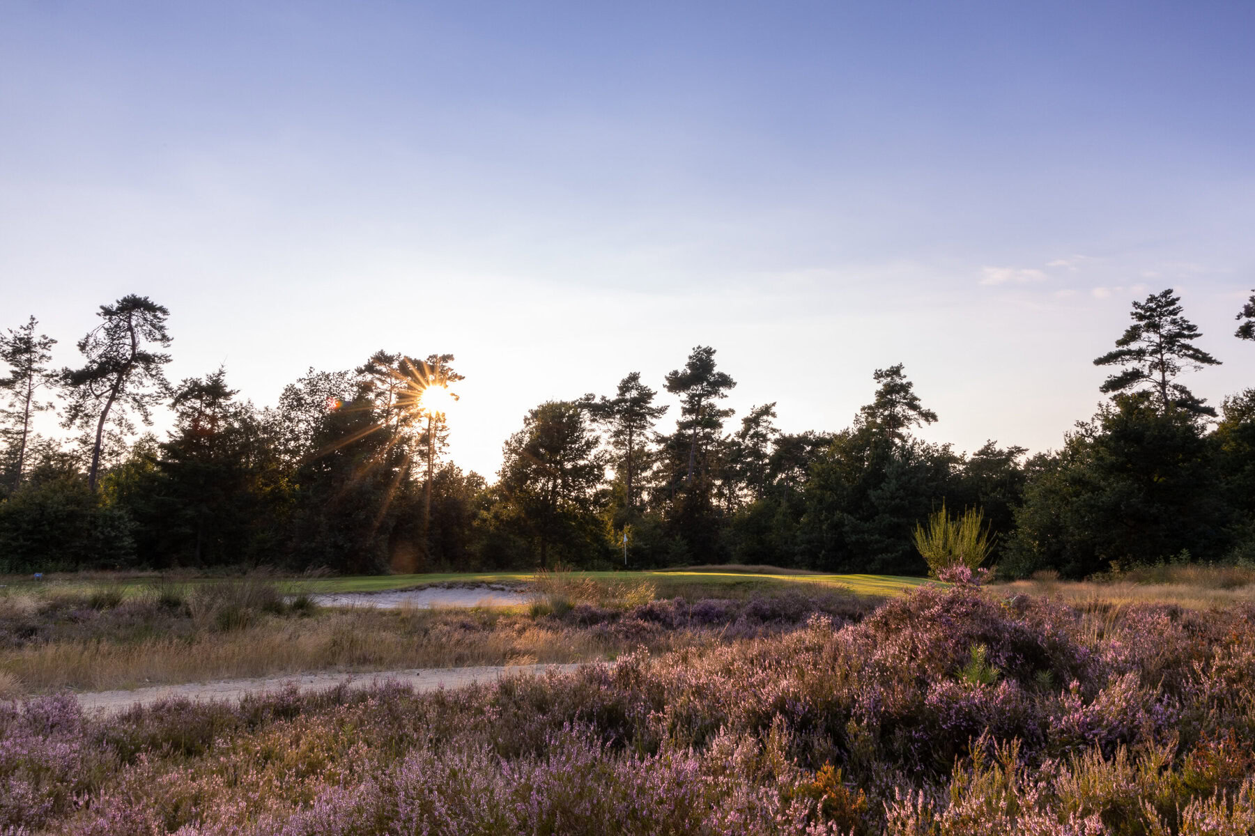 Hooge Graven Golfclub Ommen