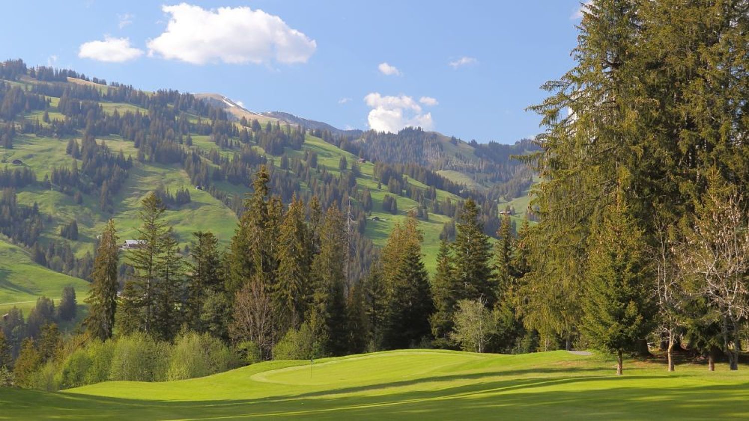 Golfclub Gstaad Saanenland
