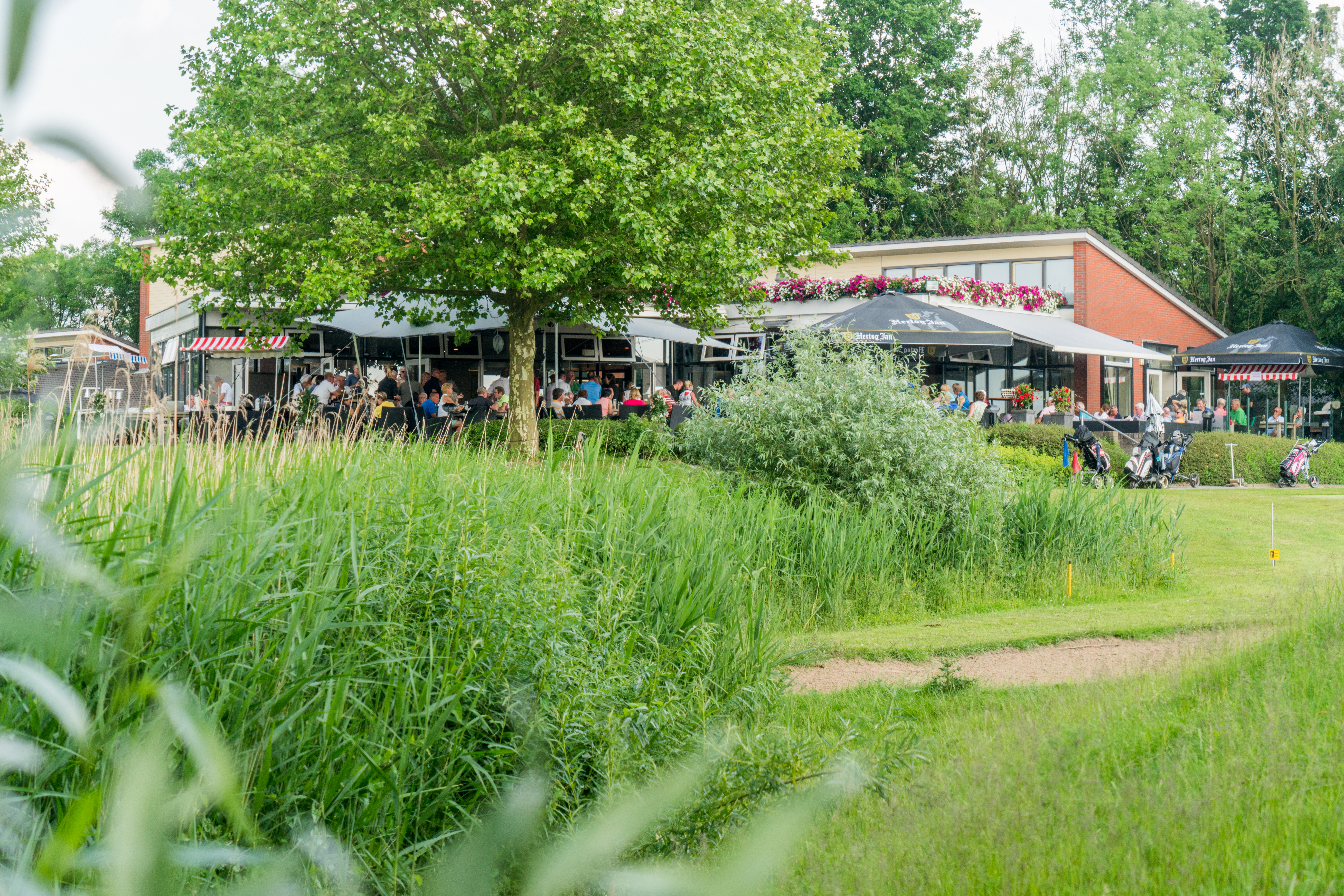 Golfbaan Landgoed Welderen