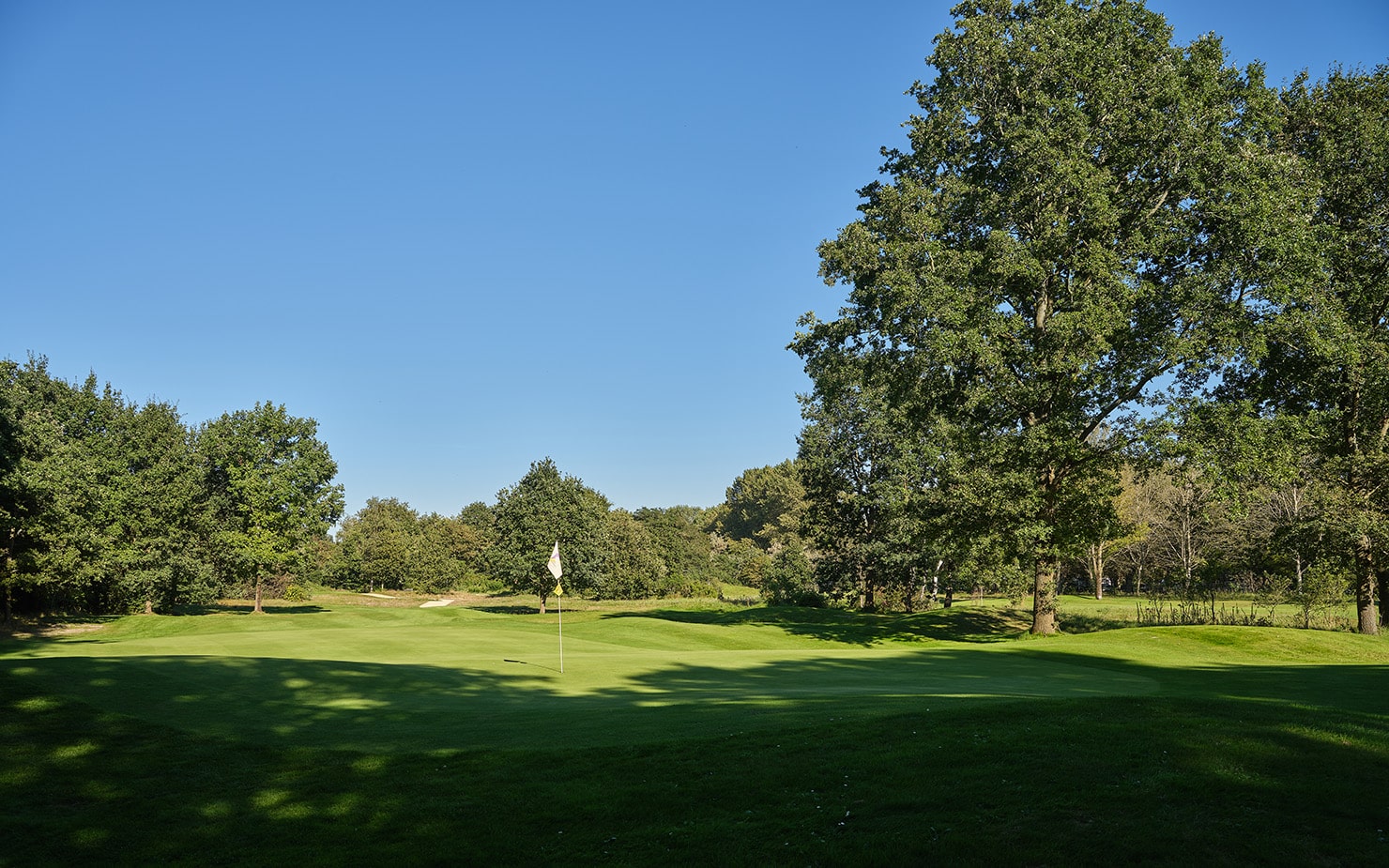 Golf Duinzicht