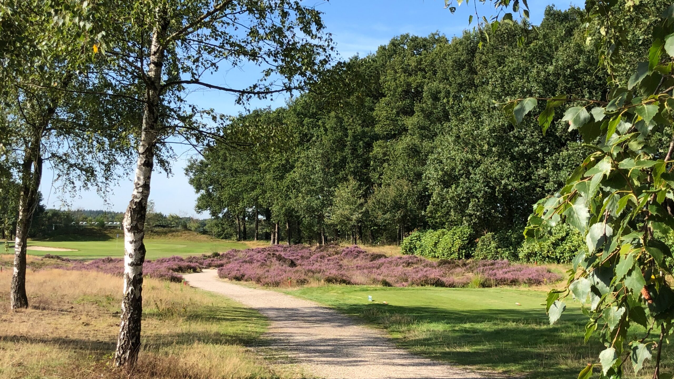 Edese Golf Club Papendal
