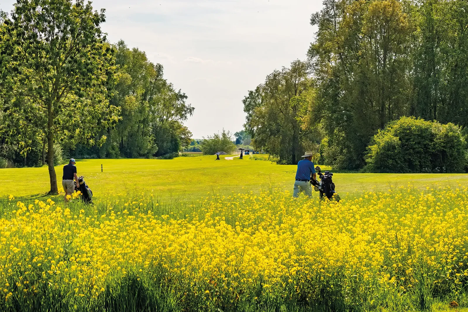 Galecop Golf