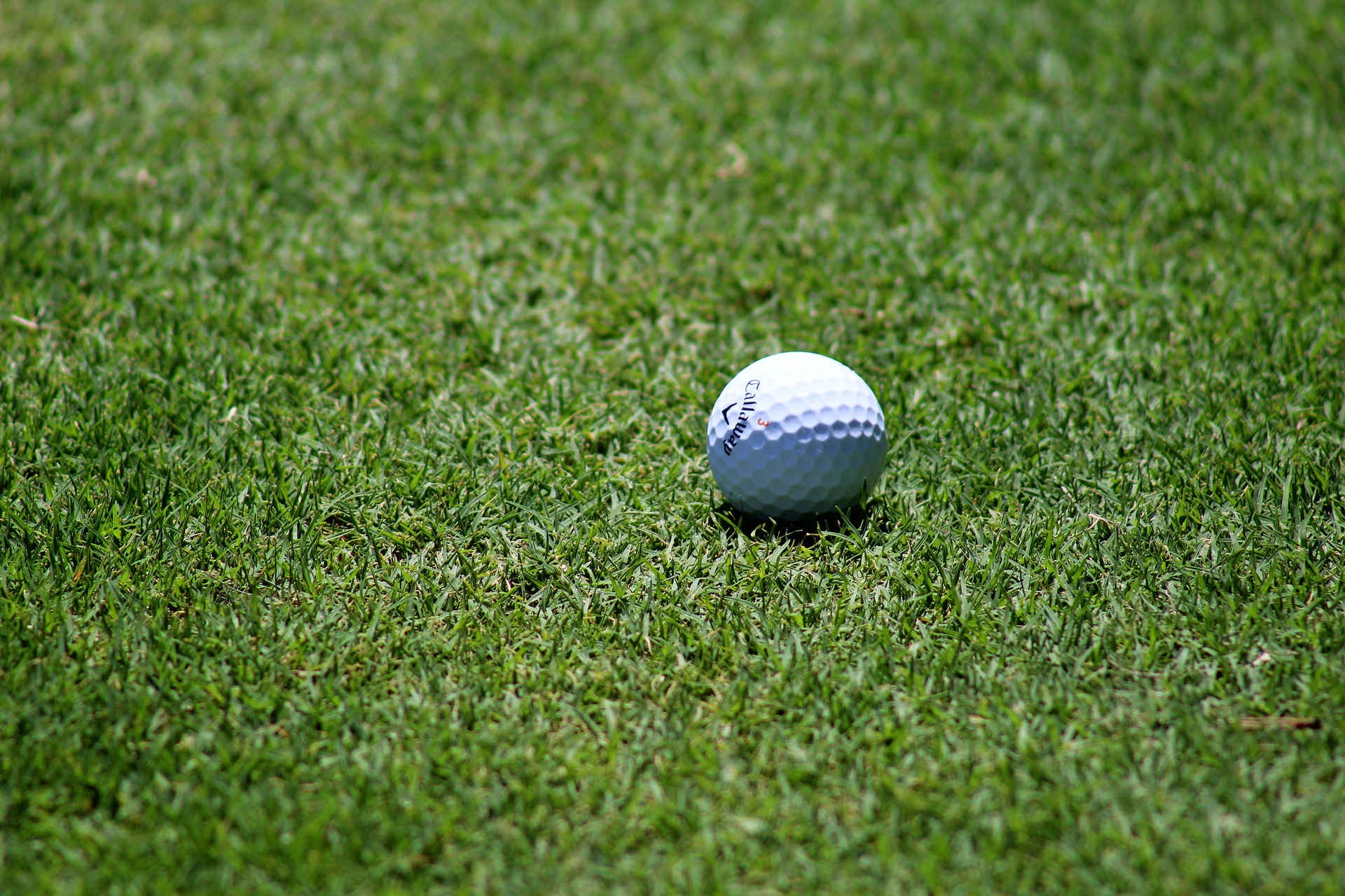 Dutch Golf Hattem