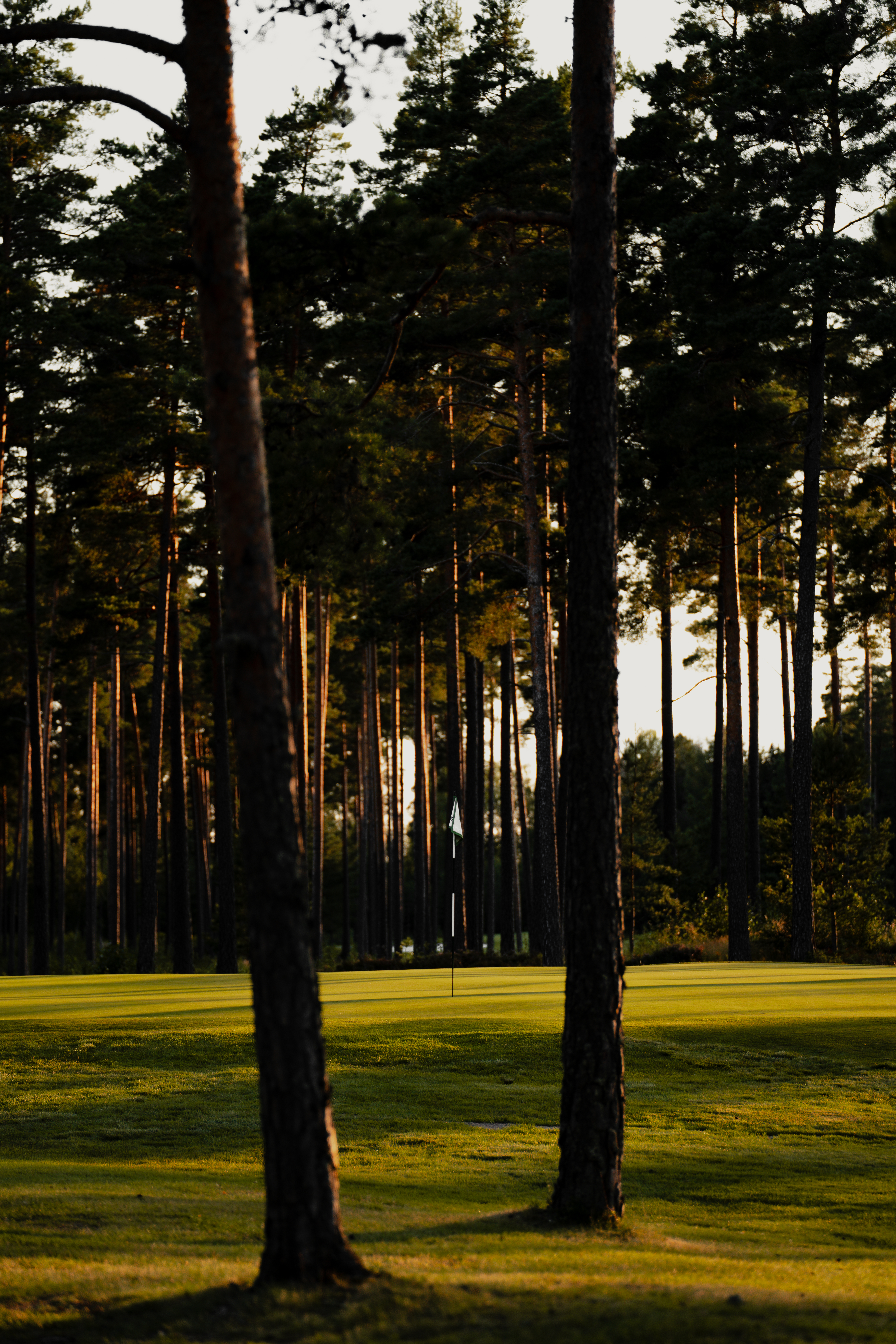 Bryngfjordens Golfklubb