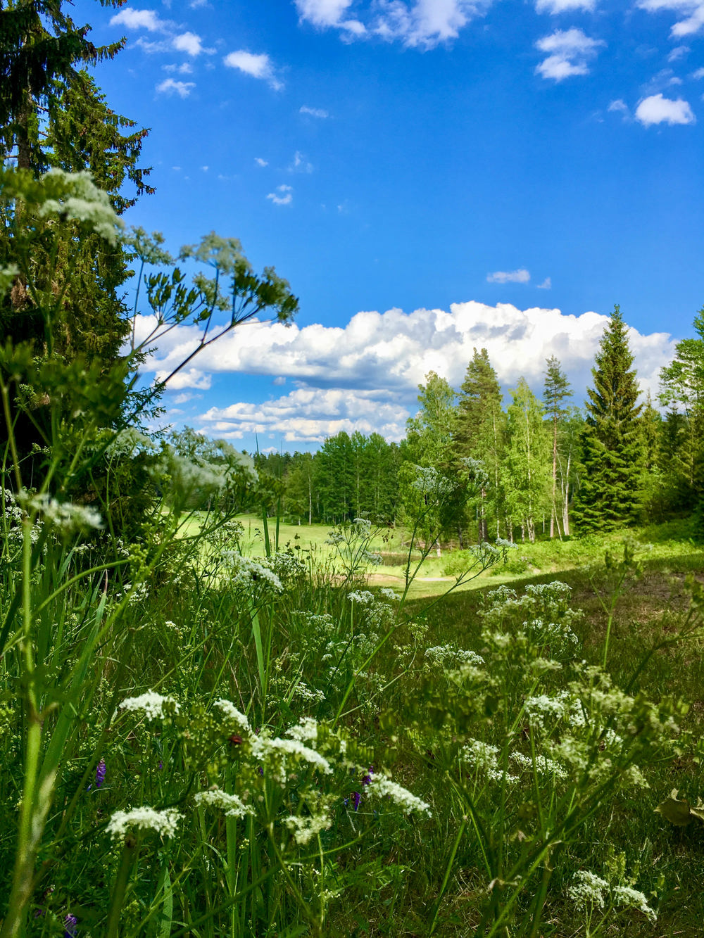 Botkyrka GK
