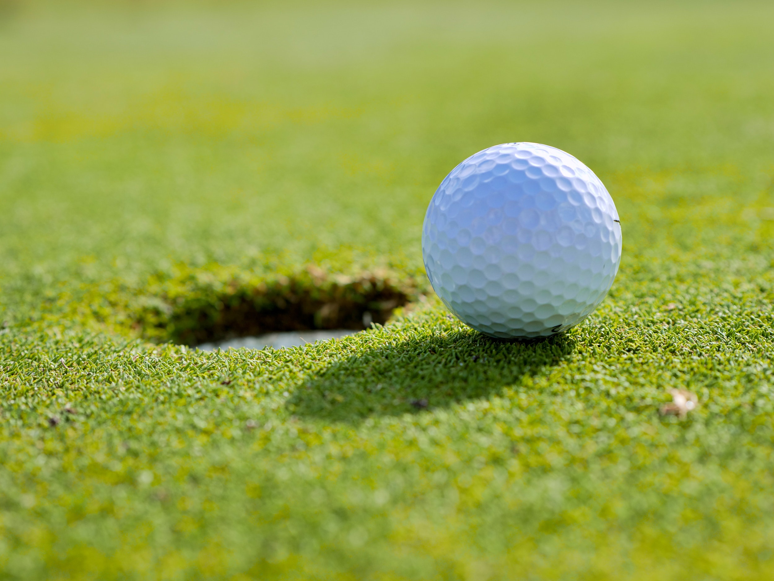 Viksbergs Golfklubb