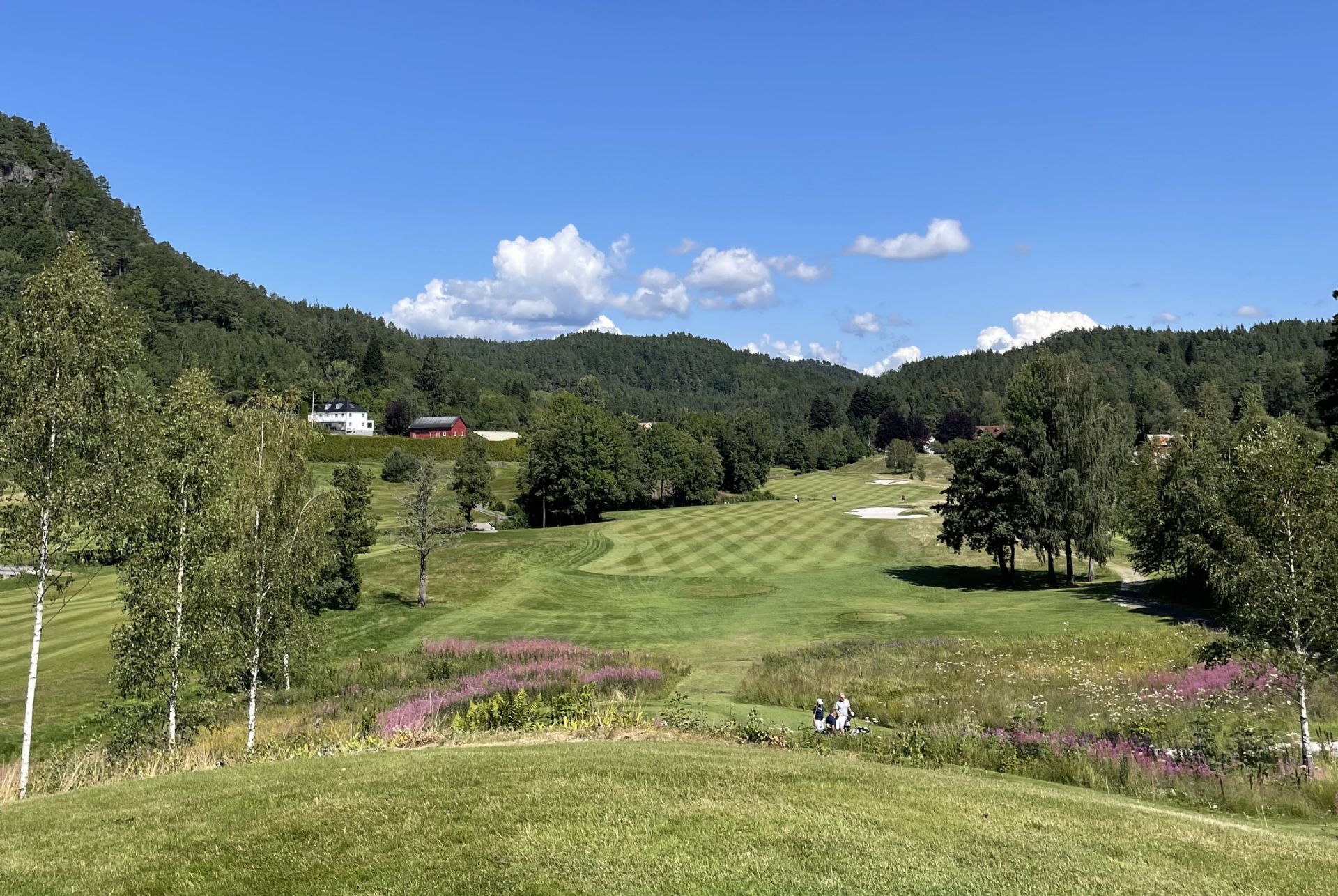 Bjåvann